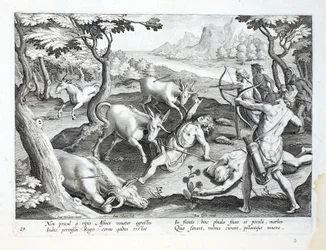 Eenhoorns aan de oevers van de Indus, gejaagd met toestemming van de koning, illustratie uit 